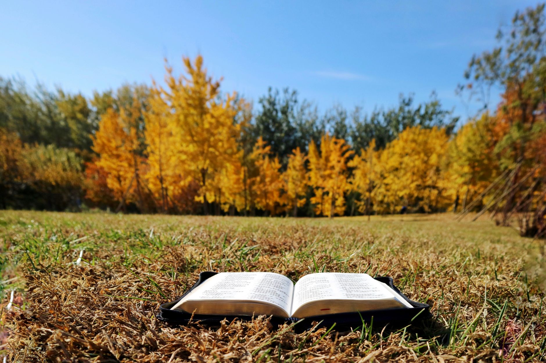 Seeking God: A Journey into a Deeper Relationship with Him Part 3